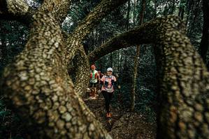 BIB: 
                            <button type="button" onclick="openModal(25701792)" class="btn btn-primary btn-sm float-right btn-popup" data-toggle="modal" data-target=".modal-high-quality">
                        <i class="fas fa-shopping-cart"></i> Add to Cart
                    </button>
                                            <button type="button" onclick="isThisMe(25701792, true)" class="btn btn-success btn-sm float-right btn-popup btn-isme hidden" data-toggle="tooltip" data-placement="bottom" title="นี่คือรูปของคุณใช่ไหม คลิกที่นี่เพื่อเอาเข้าอัลบั้ม">
                        <i class="fas fa-plus"></i> Add to album
                    </button>
                    <button type="button" onclick="isThisMe(25701792, false)" class="btn btn-warning btn-sm float-right btn-popup btn-isnotme hidden">
                        <i class="fas fa-ban"></i> Remove from album
                    </button>